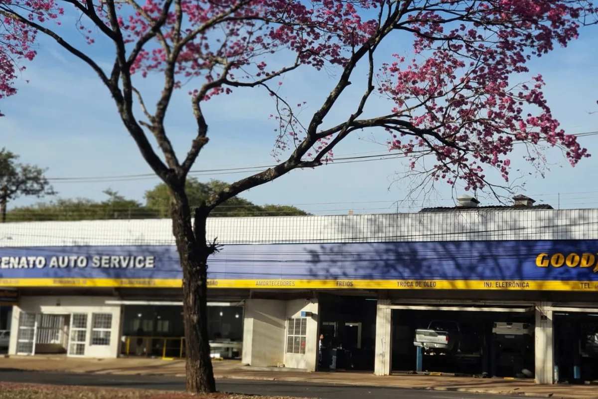 Maringá/PR